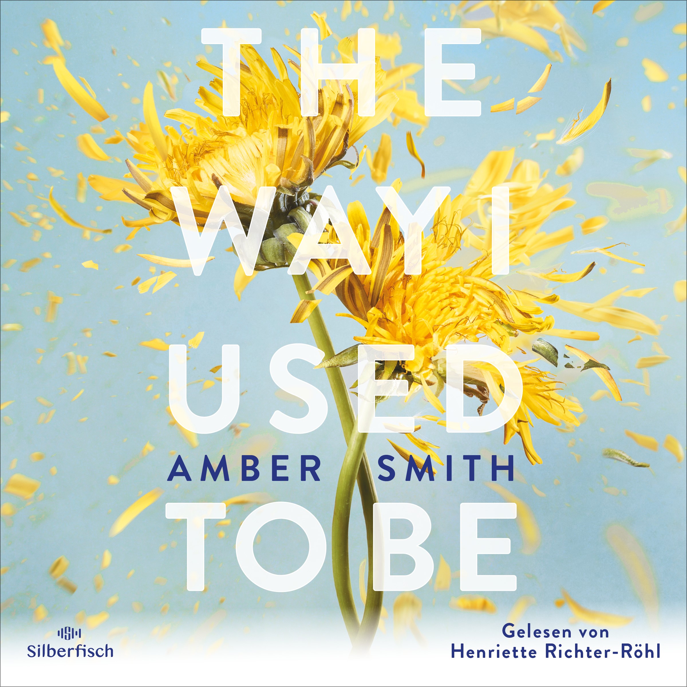 Hörbuch: The way I used to be von Amber Smith, gelesen von Henriette Richter-Röhl